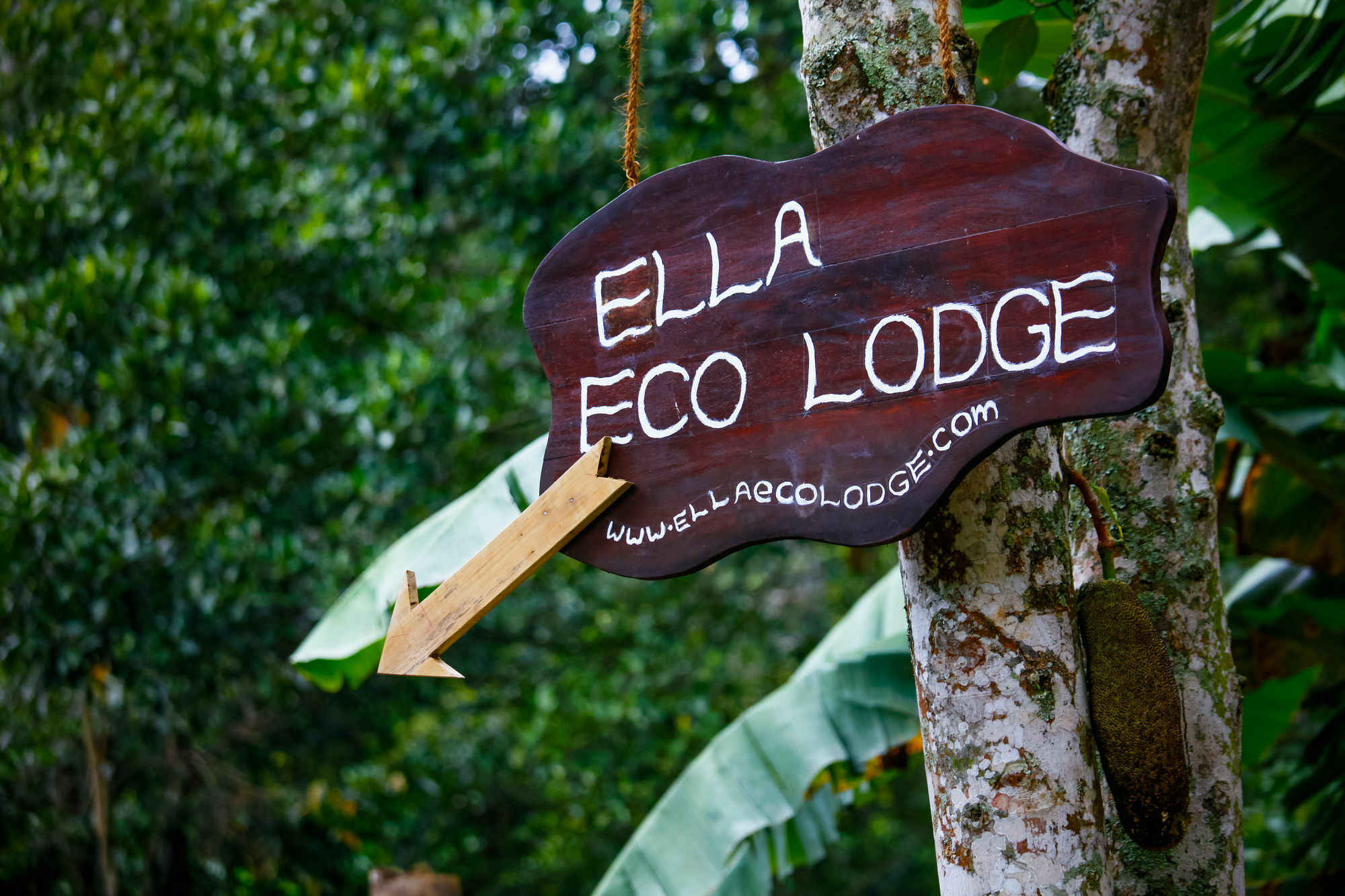 Ella Ecolodge * Ella