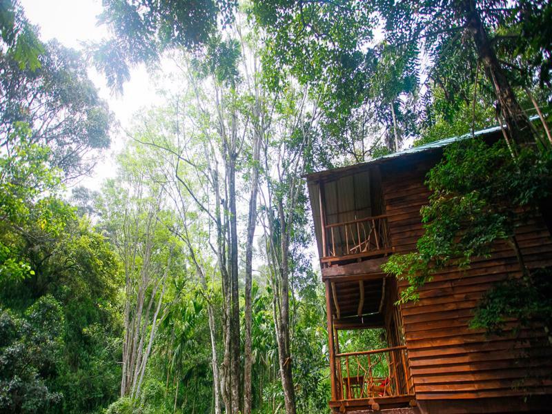 Lodge Ella Ecolodge Ella