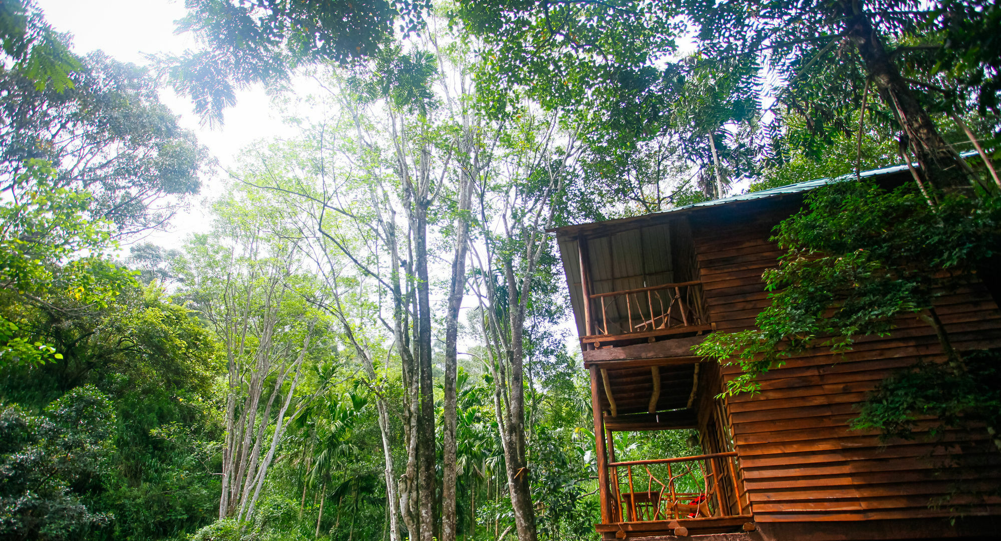 Ella Ecolodge * Ella