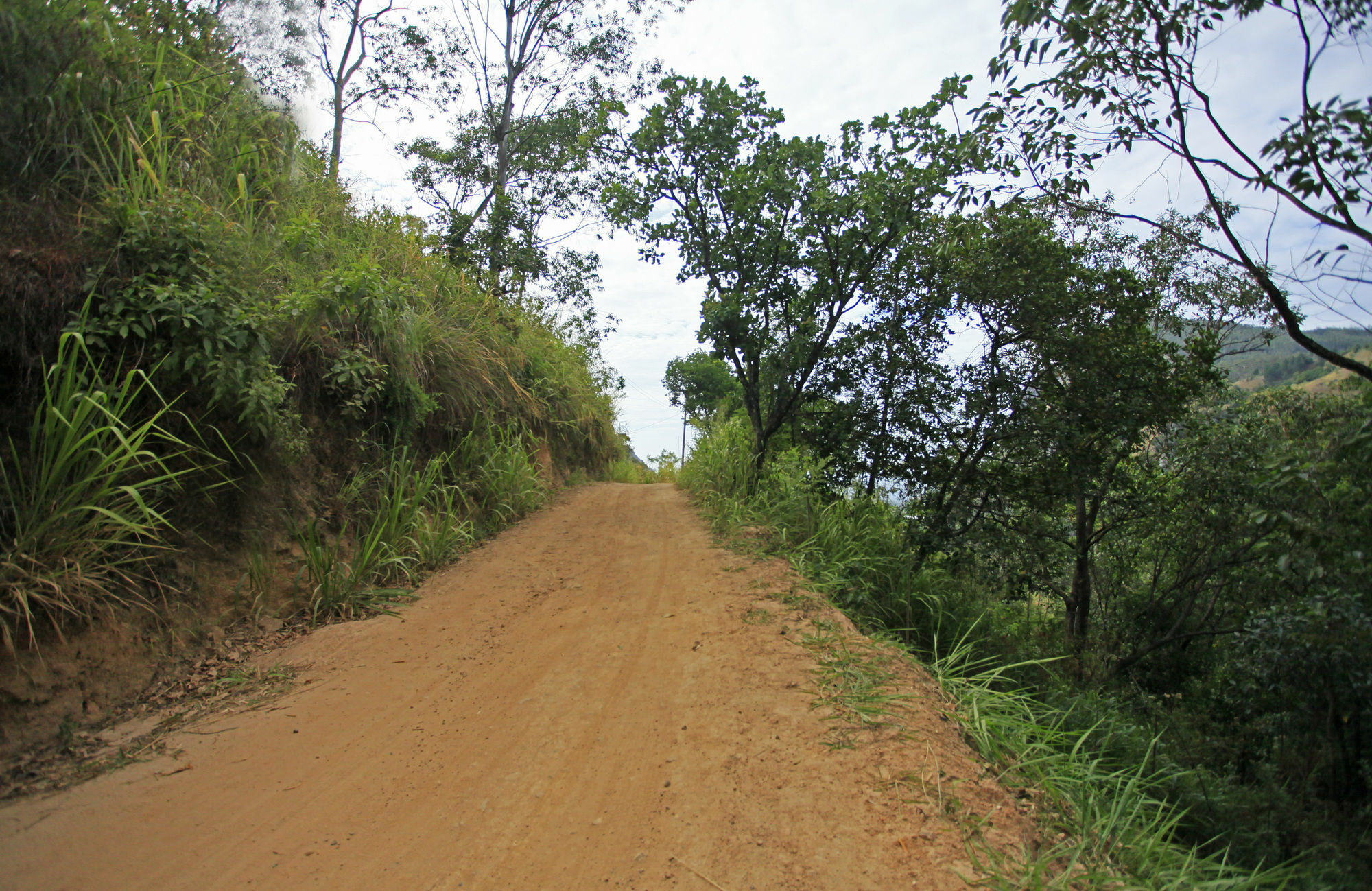 Ella Ecolodge