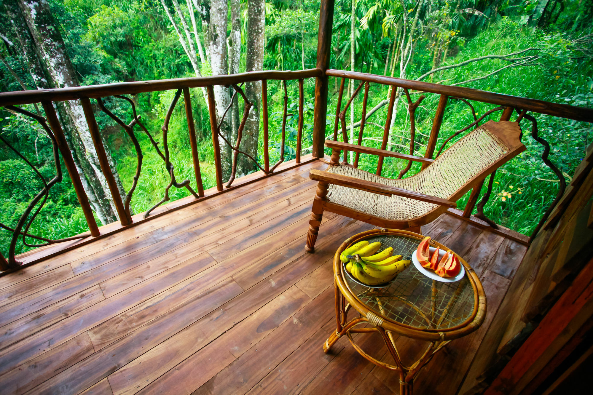 Ella Ecolodge Lodge Ella