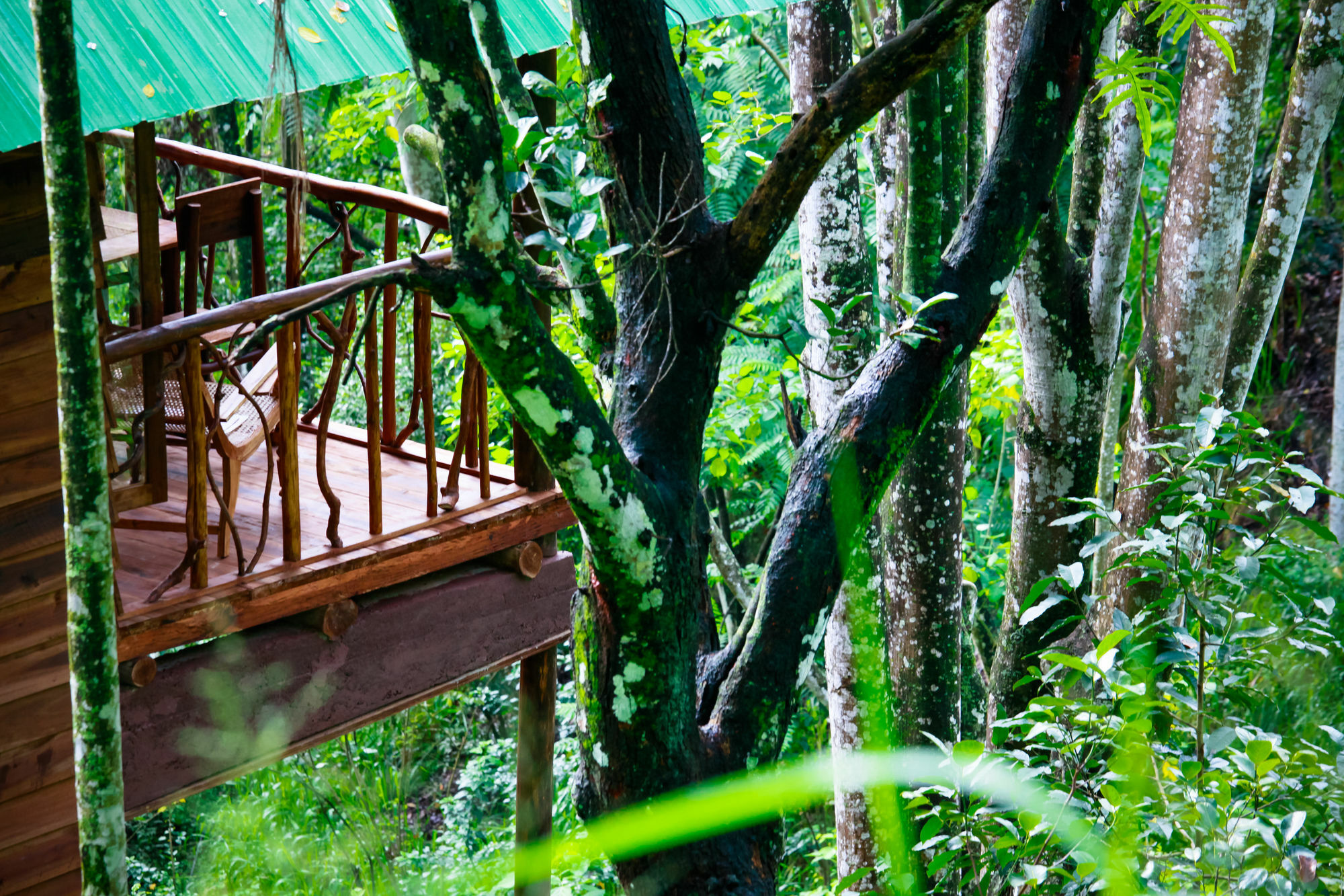 Ella Ecolodge *