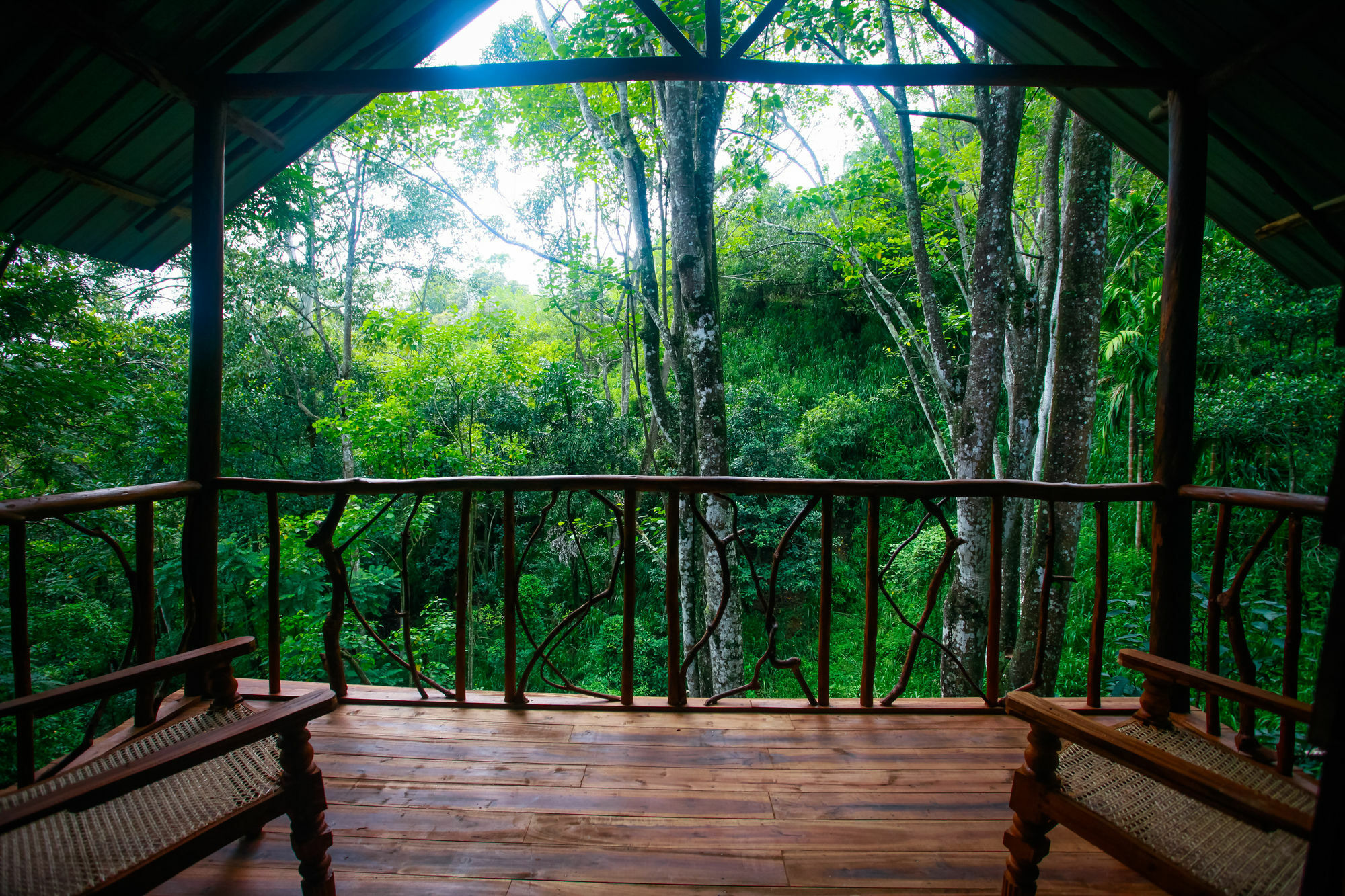 Ella Ecolodge Lodge
