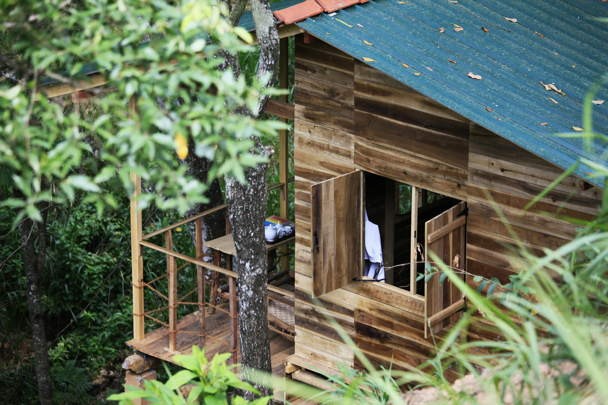 Ella Ecolodge Lodge Ella