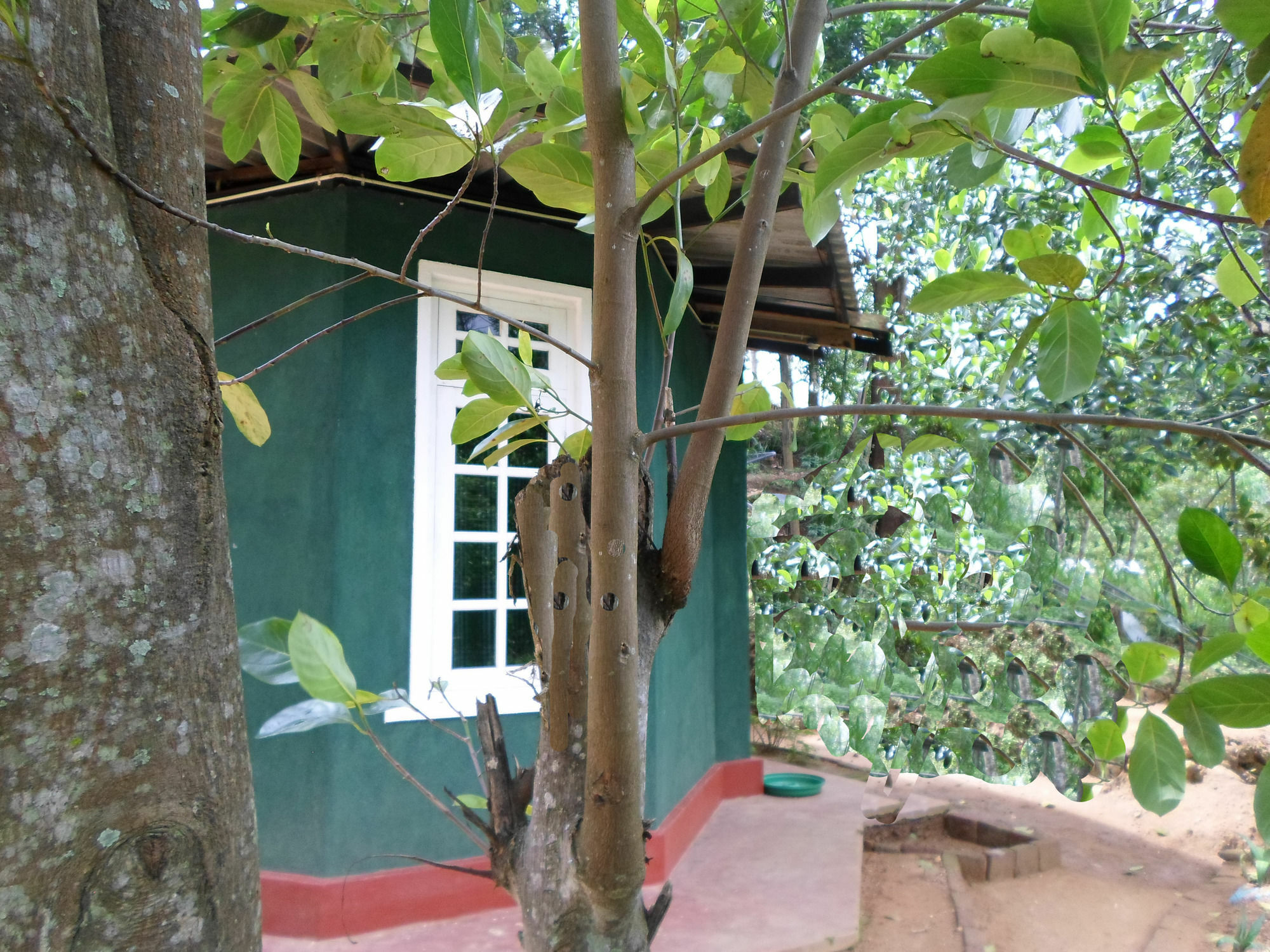 Lantern Bed & Breakfast
