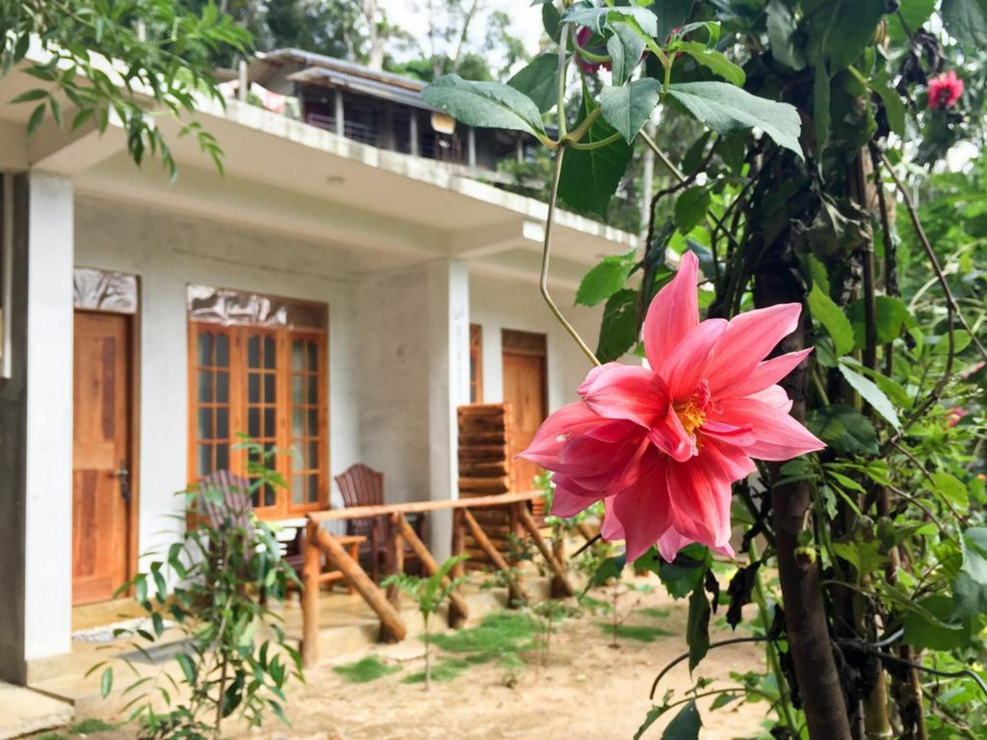 Guest house Dinaro Guest Ella