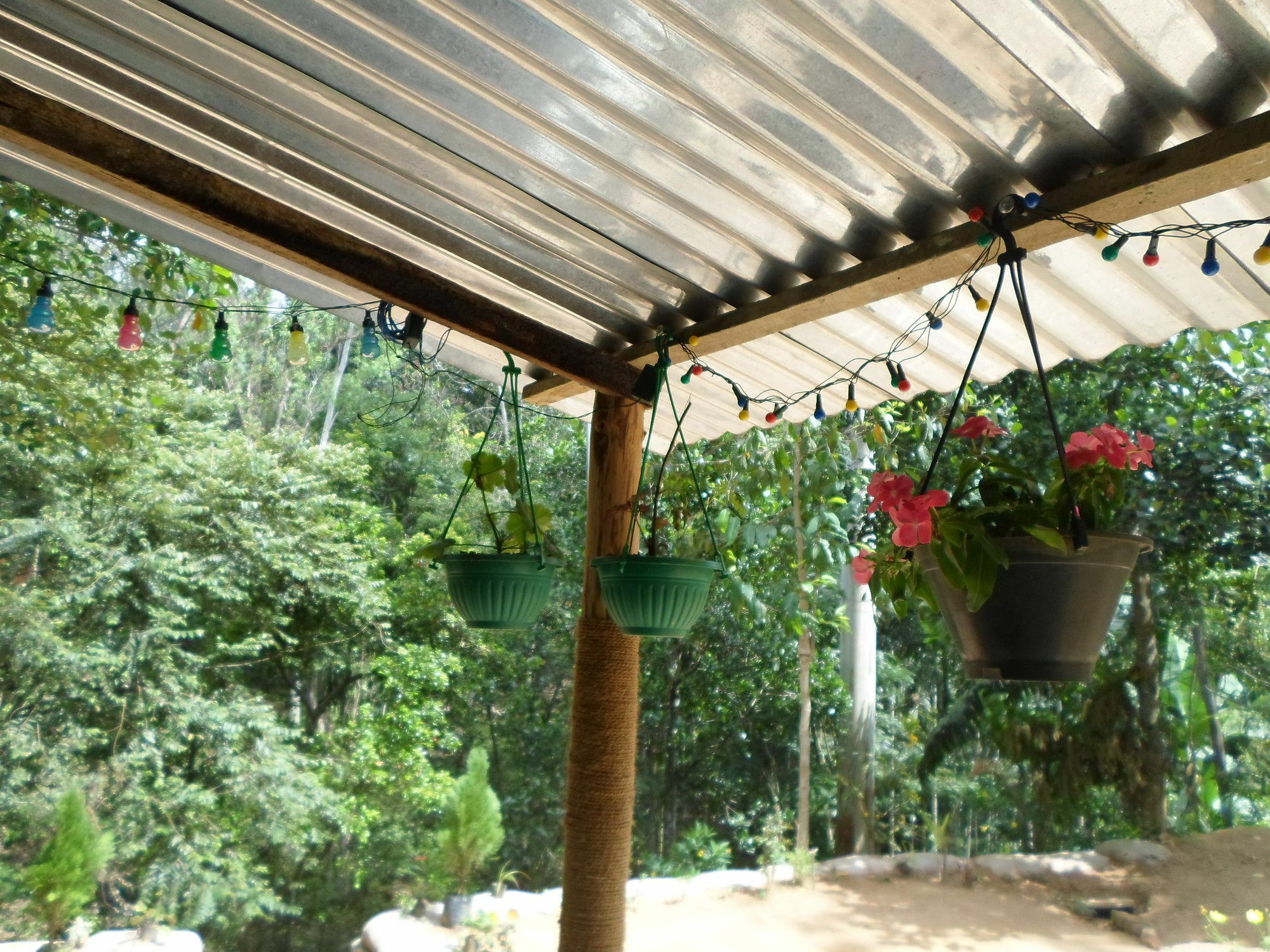 Lantern Bed & Breakfast 2*