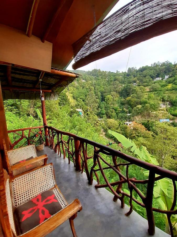 Homestay Naturewoodland *