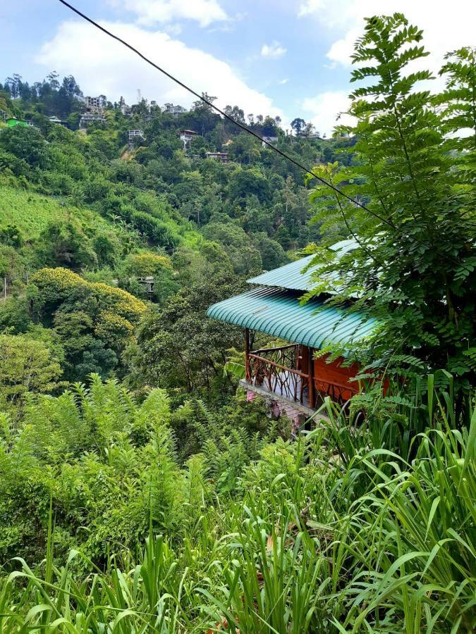 Homestay Naturewoodland Ella