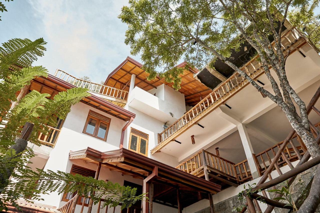Mount View Guest Homestay *