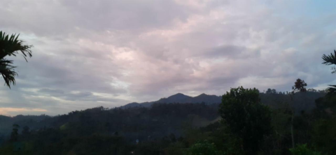 Guest house Panorama