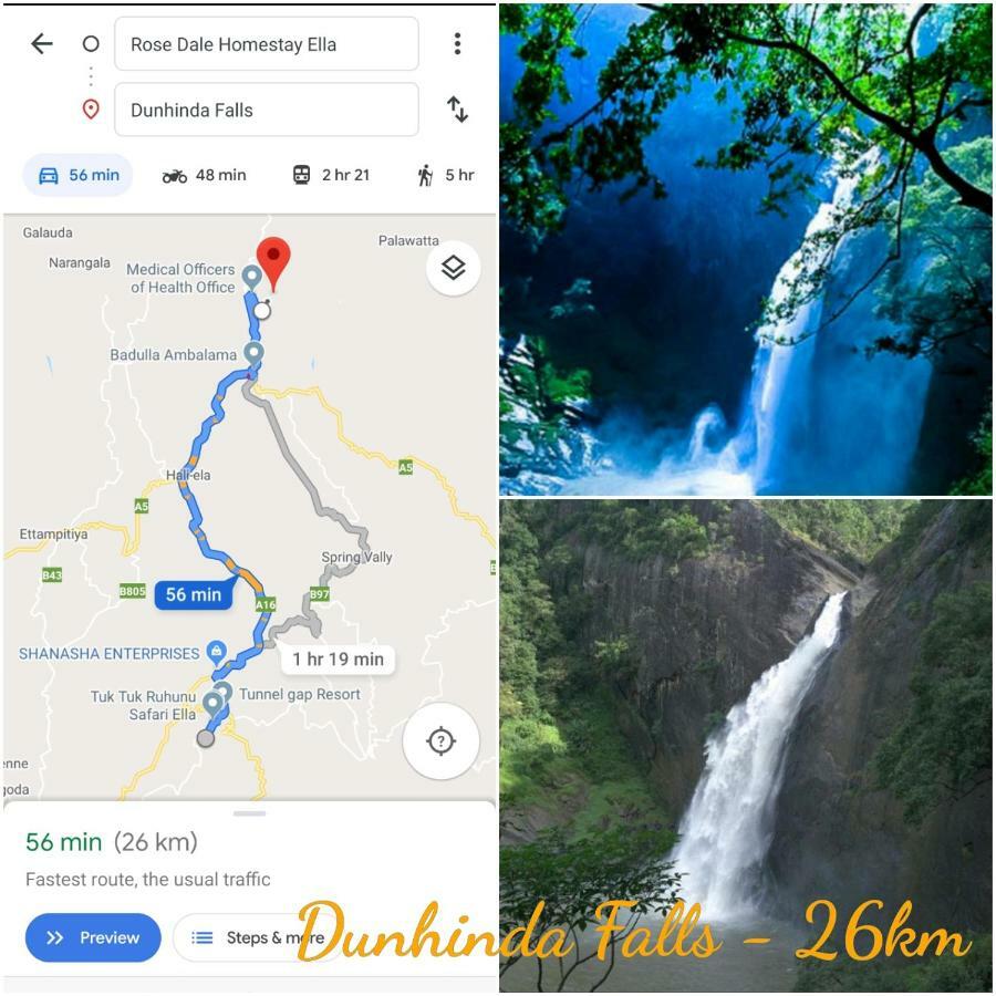 Homestay Rose Dale