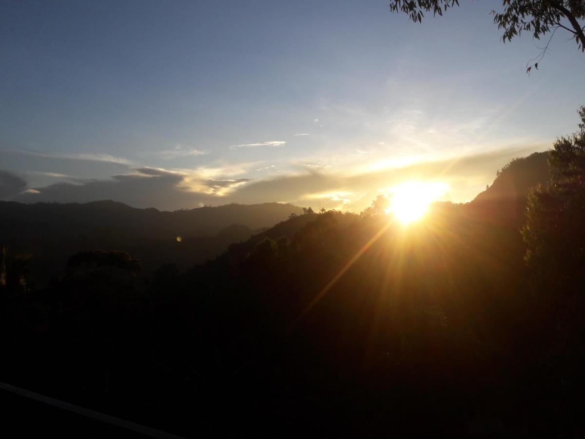 Homestay The 