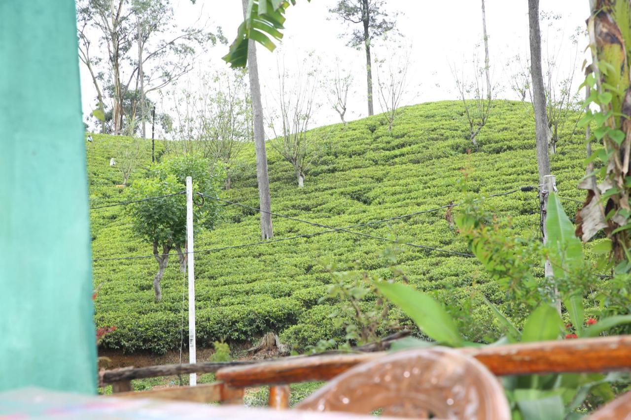 Tea Land View