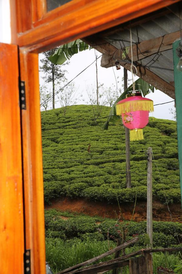 Tea Land View Homestay Ella