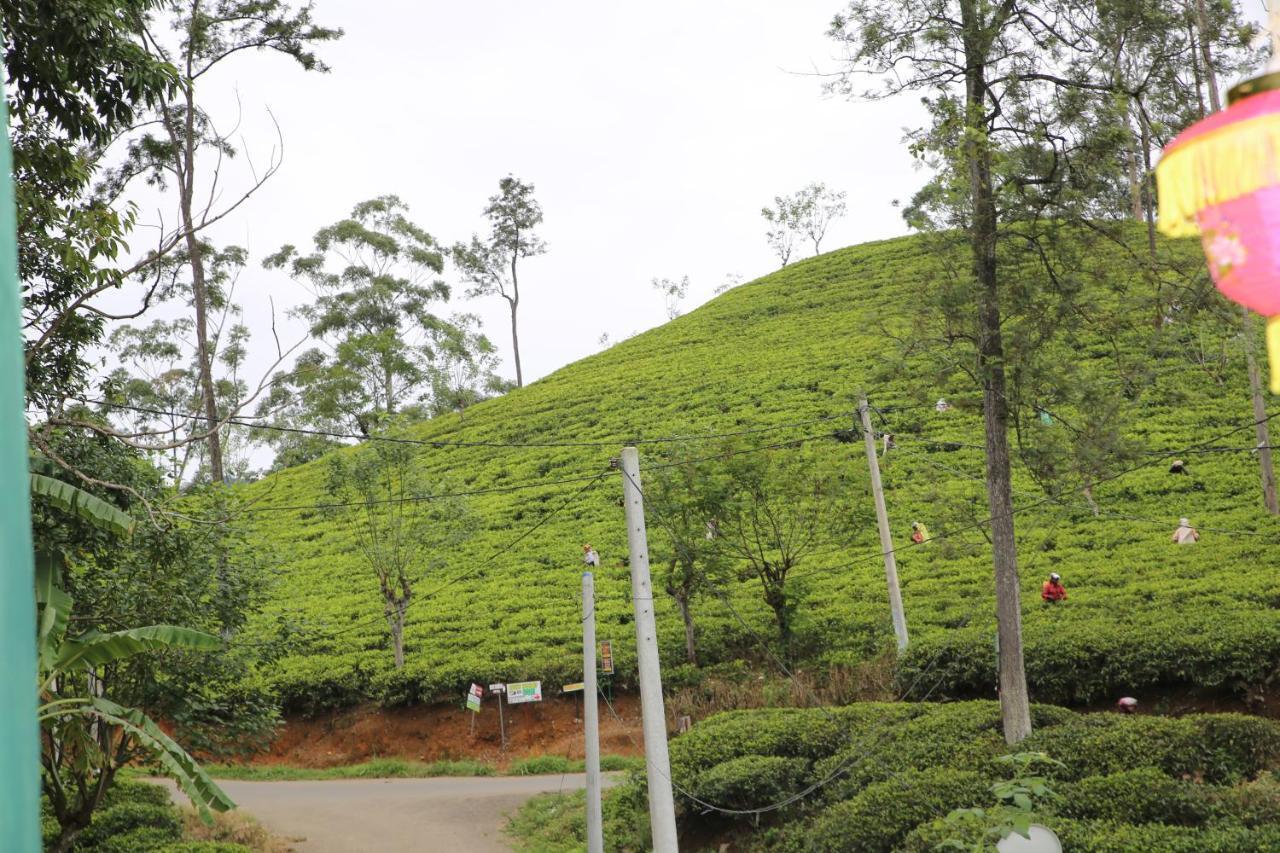 Tea Land View Homestay *