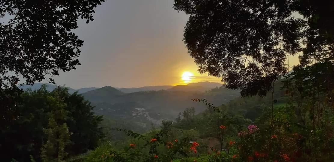 Sithara Estate
