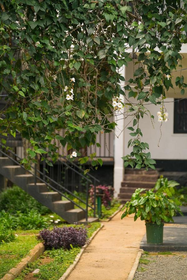 Forest Paradise Hotel *