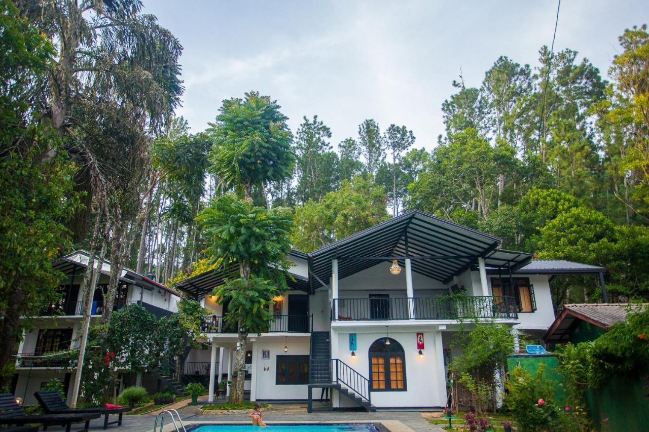 Forest Paradise Ella