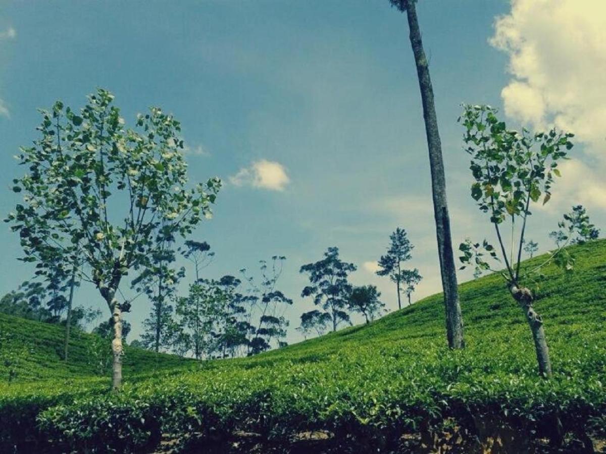 Lakshmis Ella