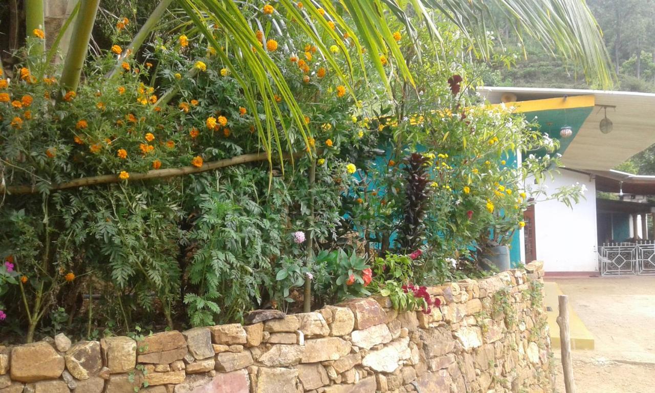 Lodge Nature's Rest
