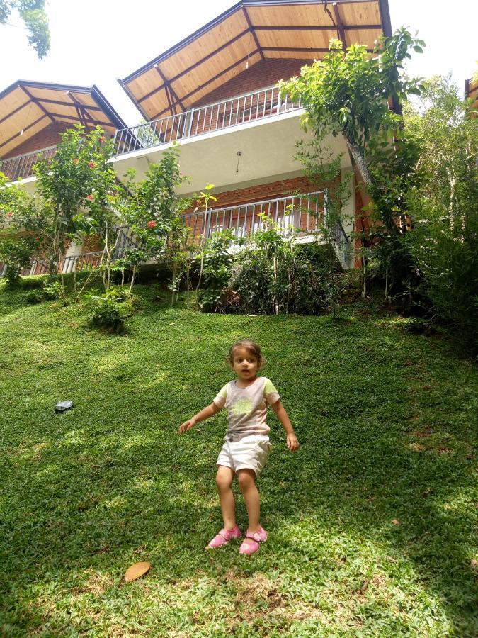 Hotel 3arch Eco 3*