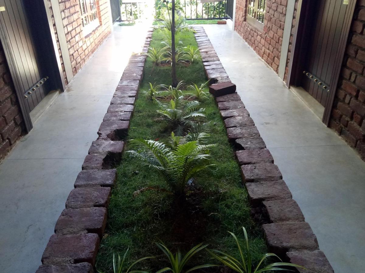 3arch Eco 3*
