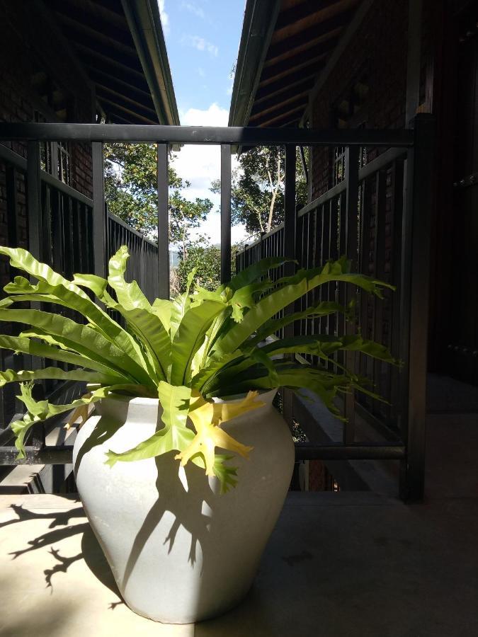 3arch Eco Ella
