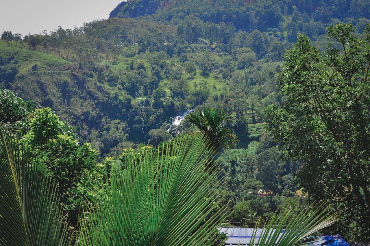 Homestay Will Guest