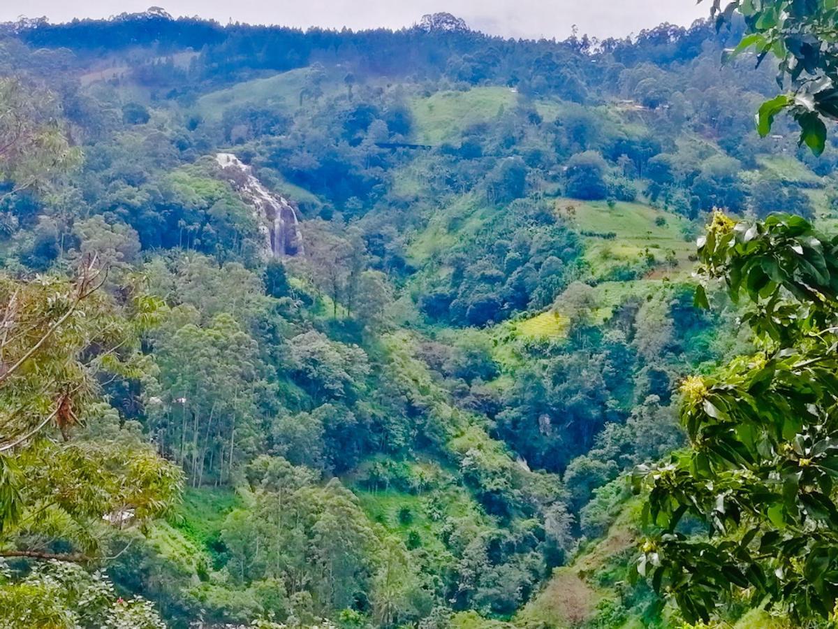 Guest house Hilltop *