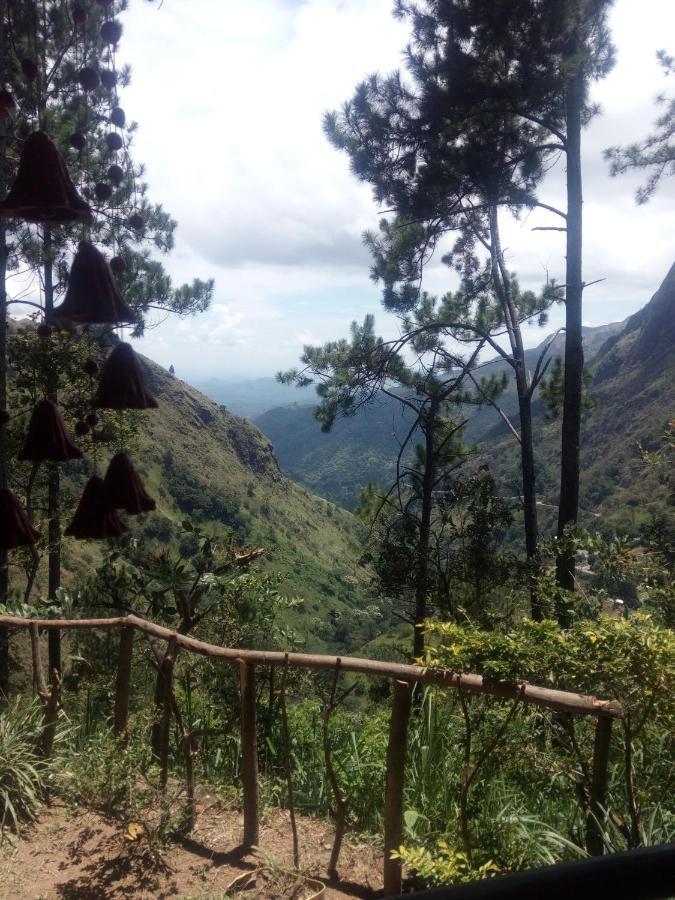 Dream View * Ella