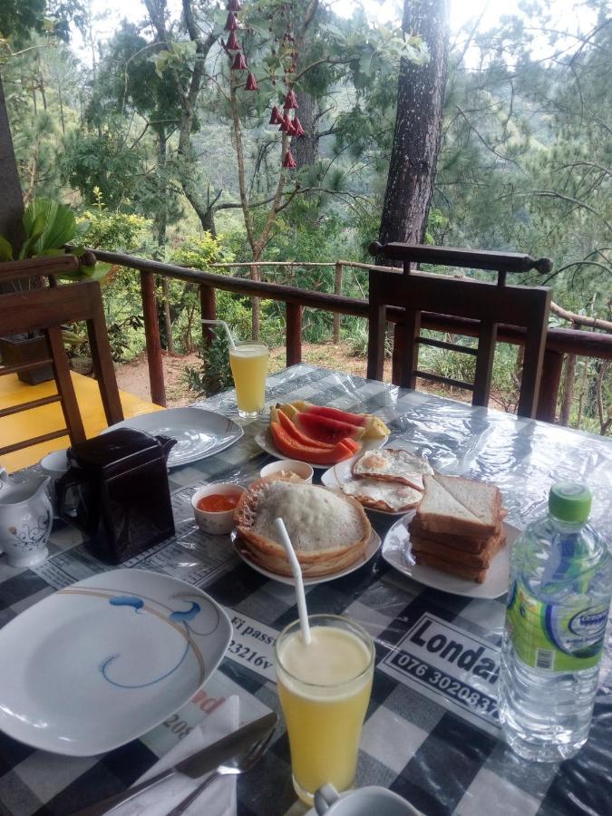 Dream View Bed & Breakfast *