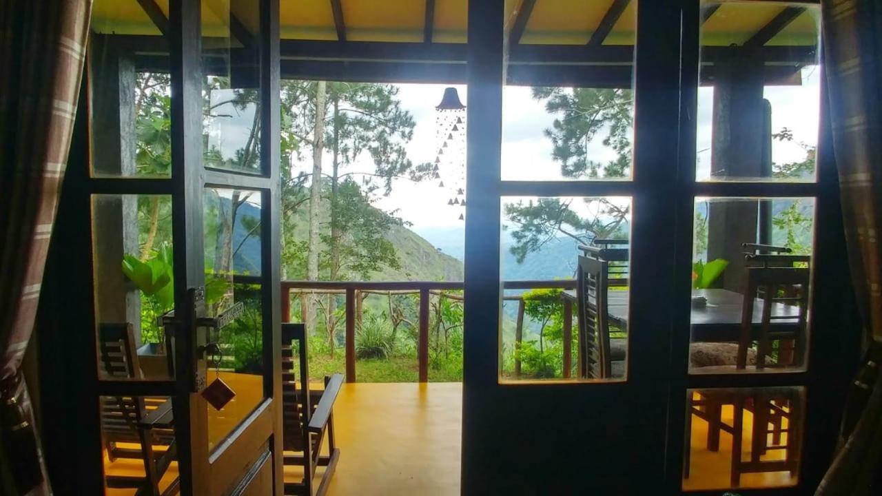 Dream View *
