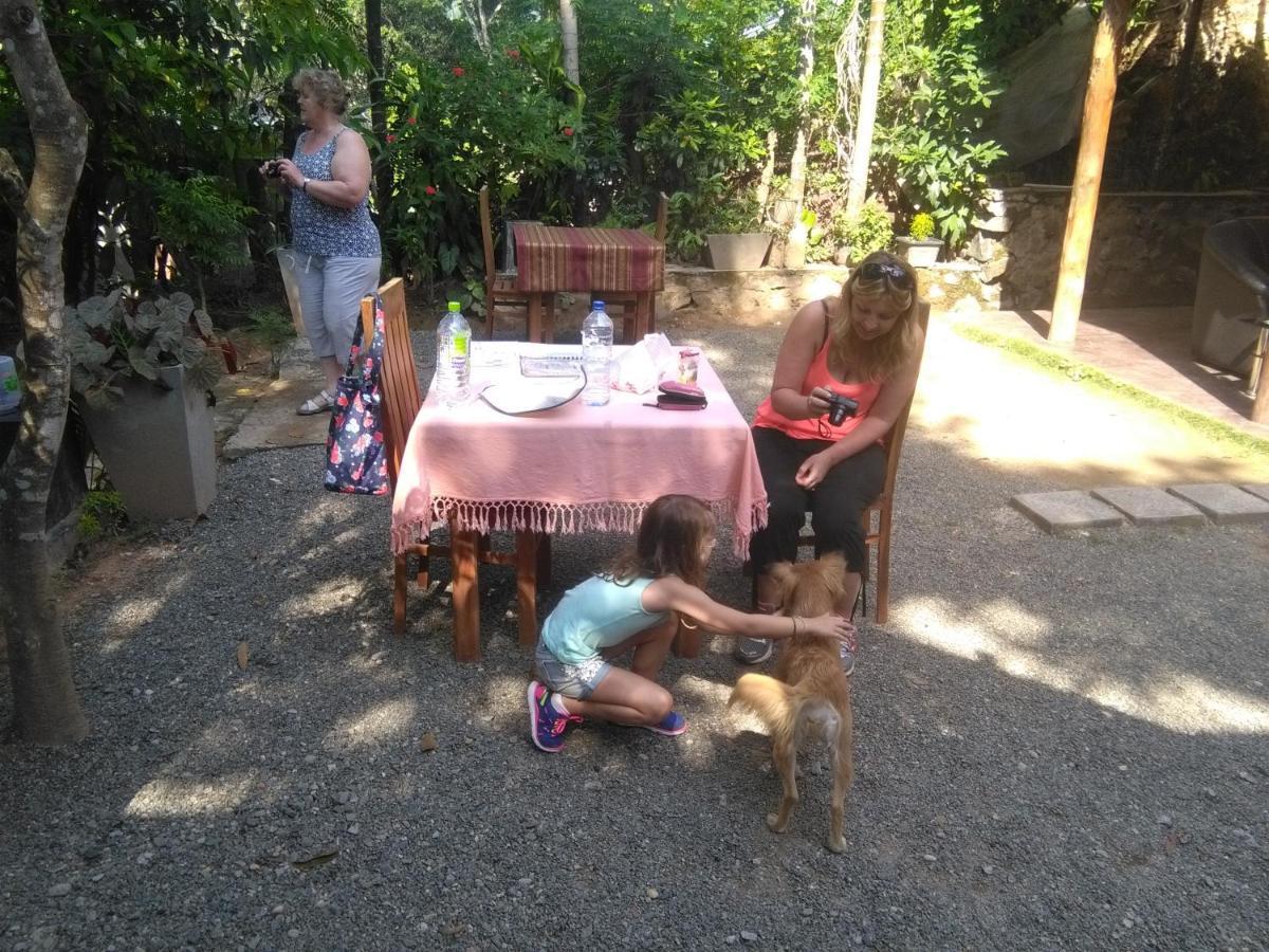 Summer Guest house 3*