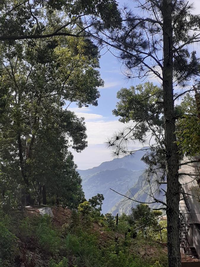 Guest house Hillsite View