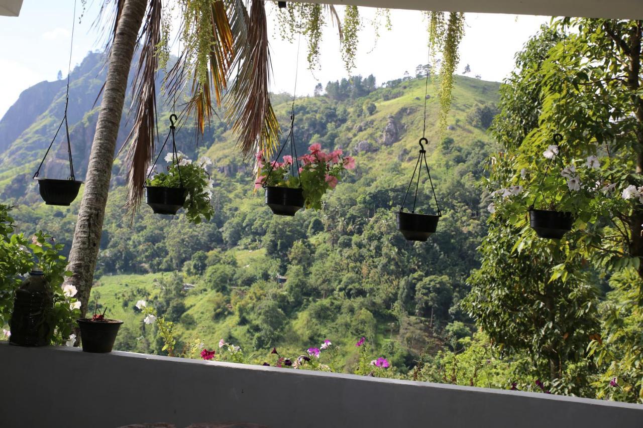 Homestay Dream Nest