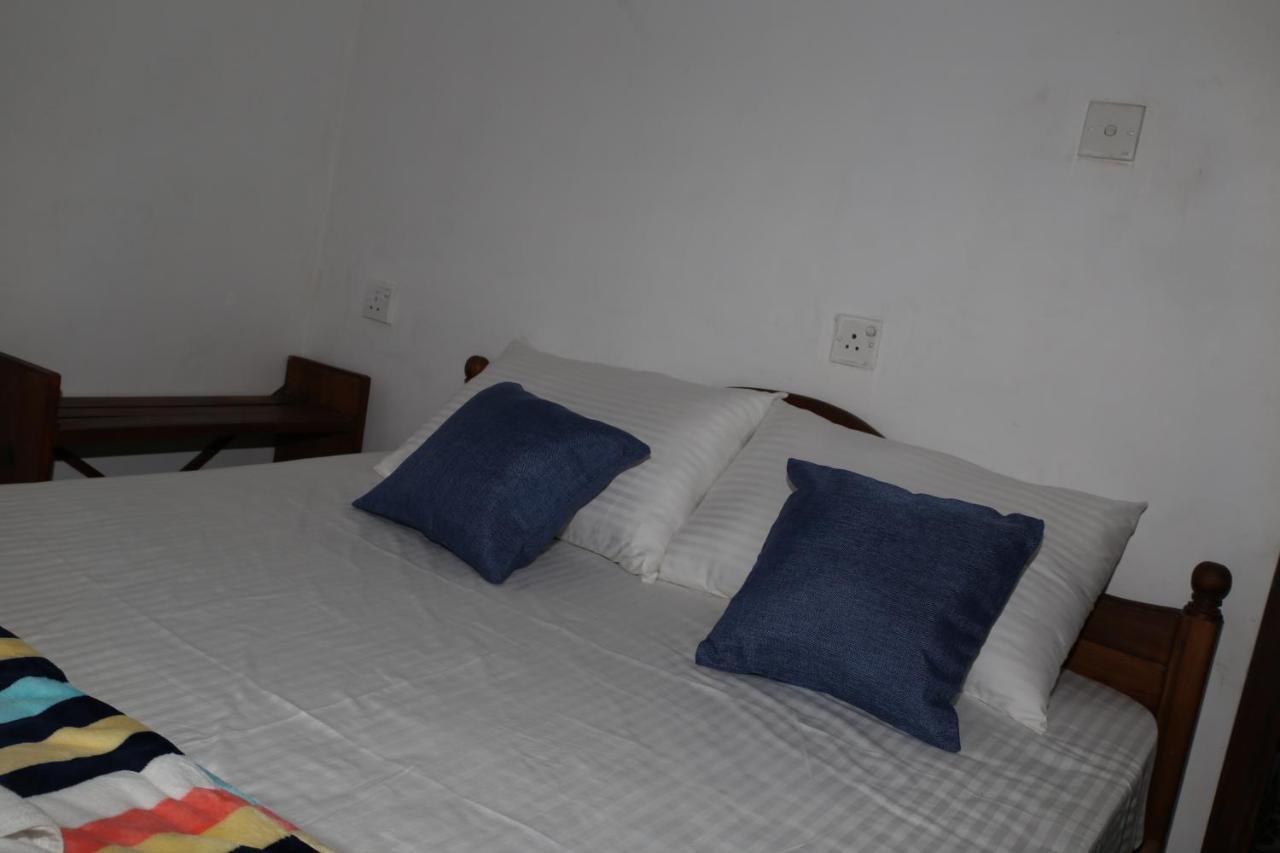 Dream Nest *
