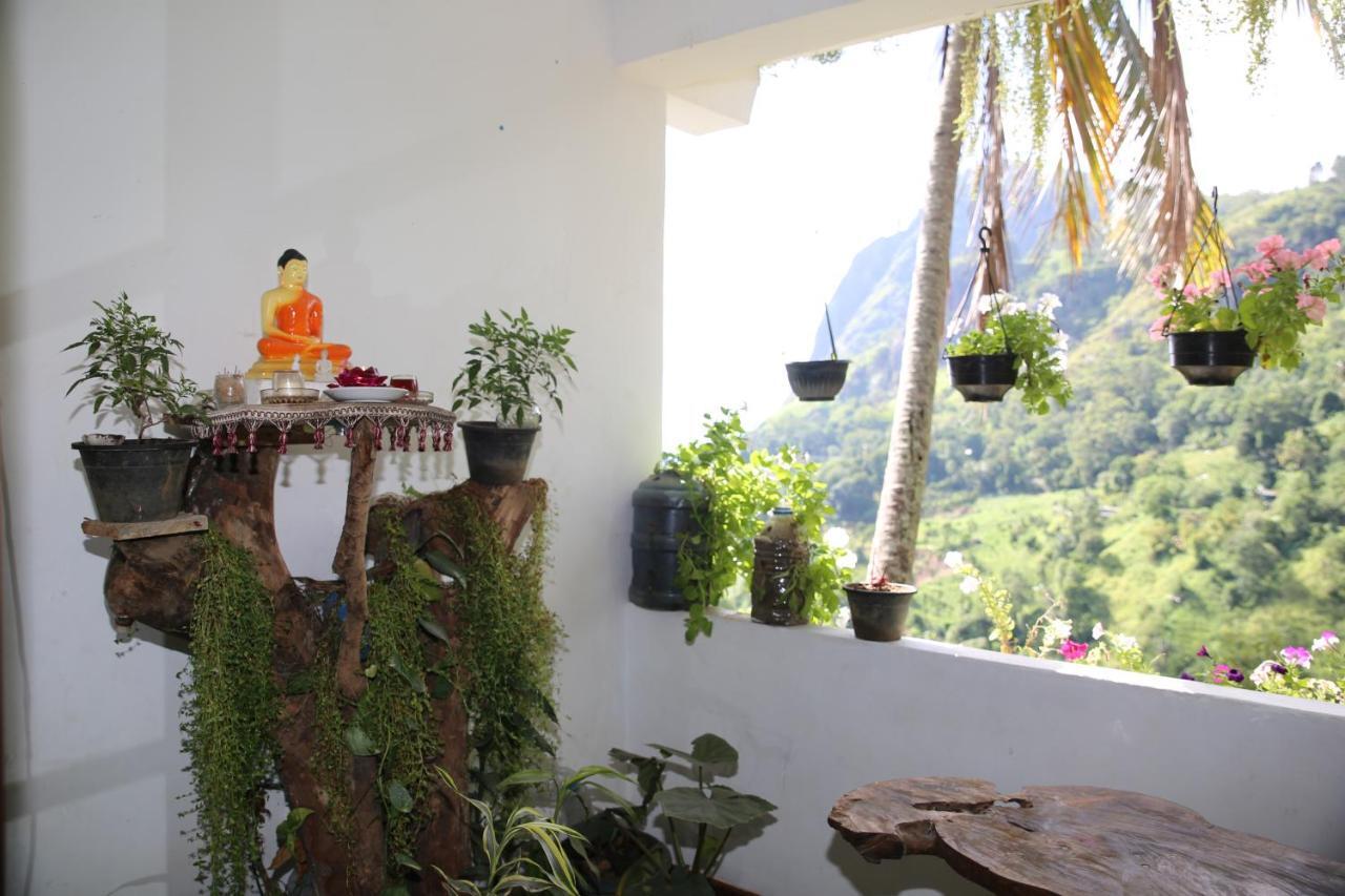 Dream Nest Homestay *