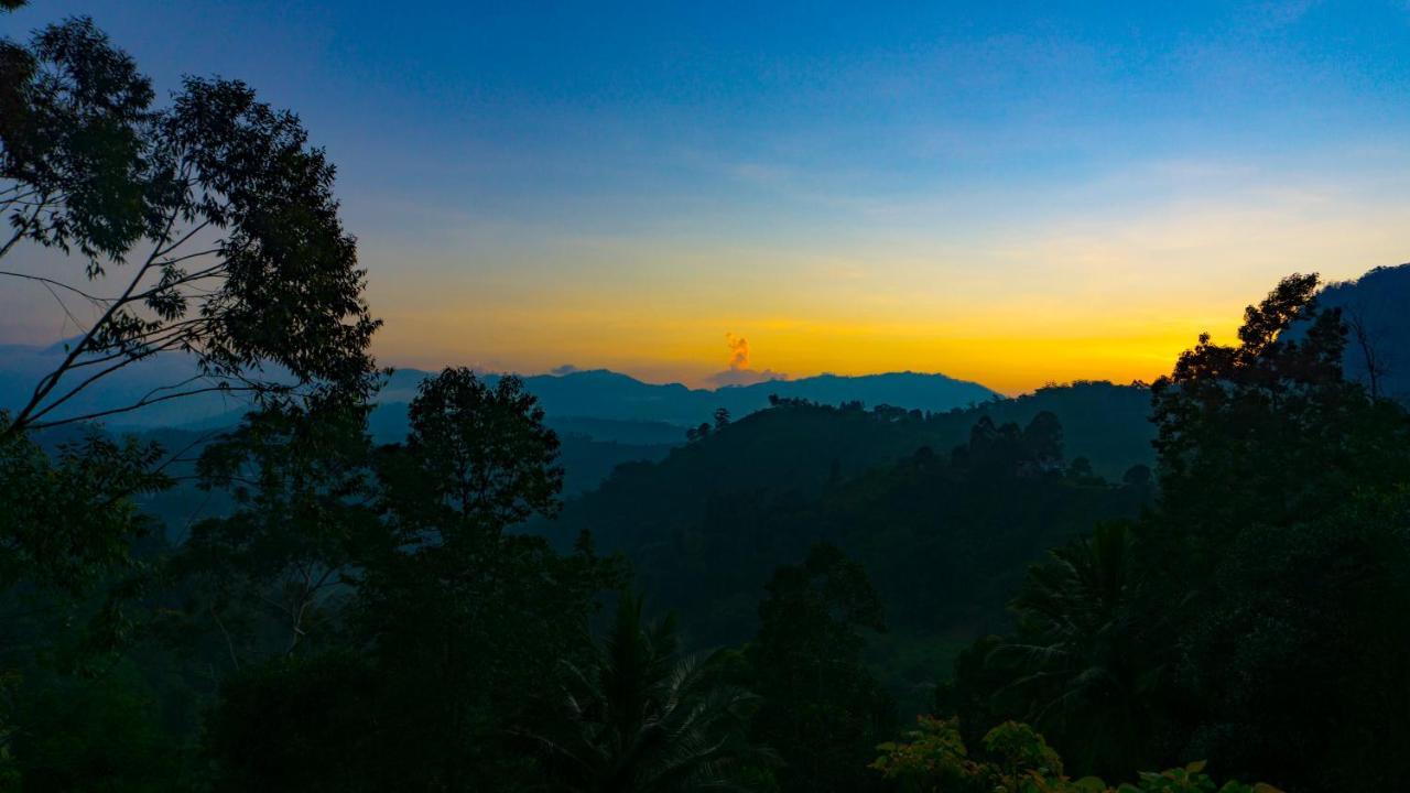 Guest house Shining View