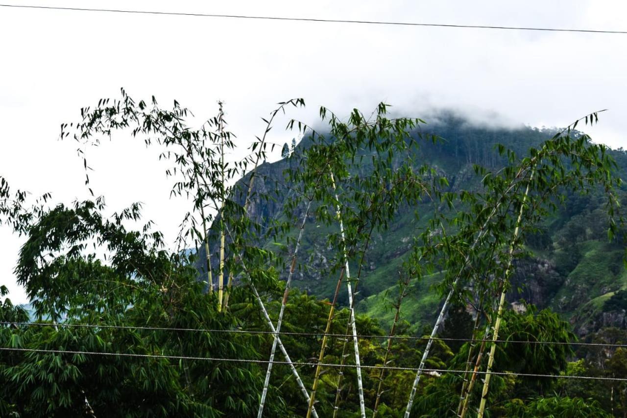 Little Paradise Homestay *