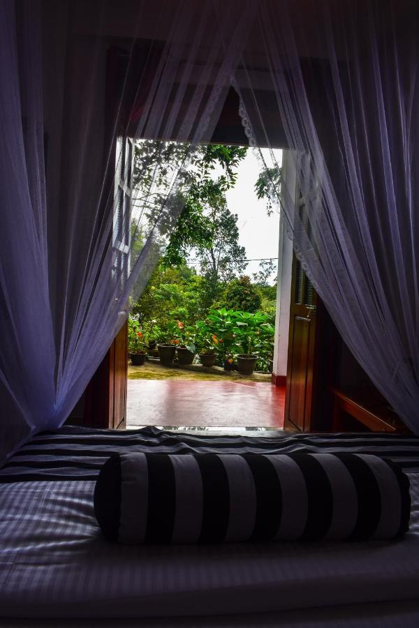 Homestay Elegant Ella