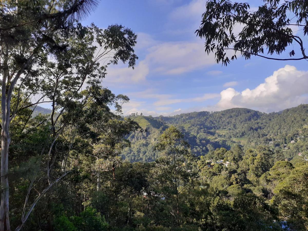 Hillsite View * Ella