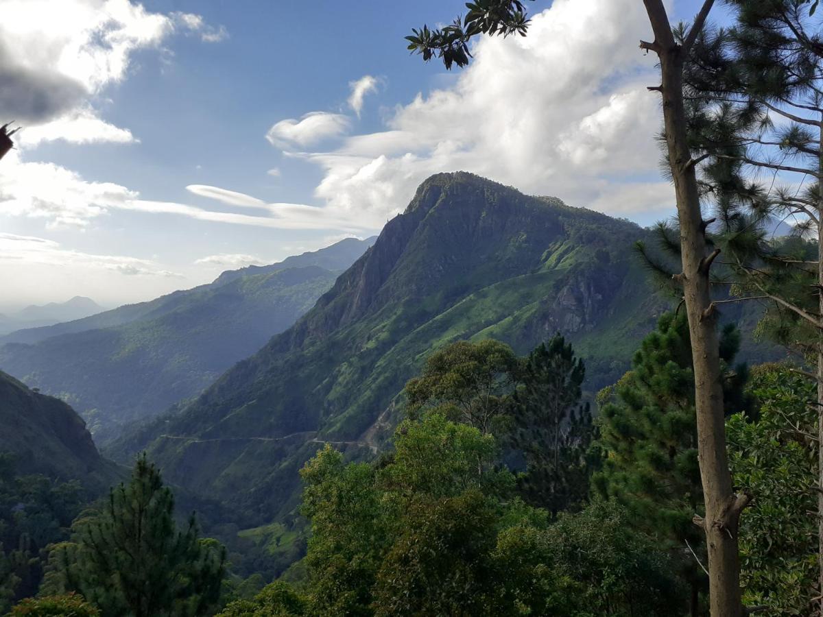 Guest house Hillsite View
