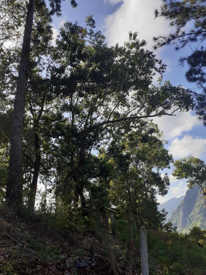 Hillsite View Guest house Ella