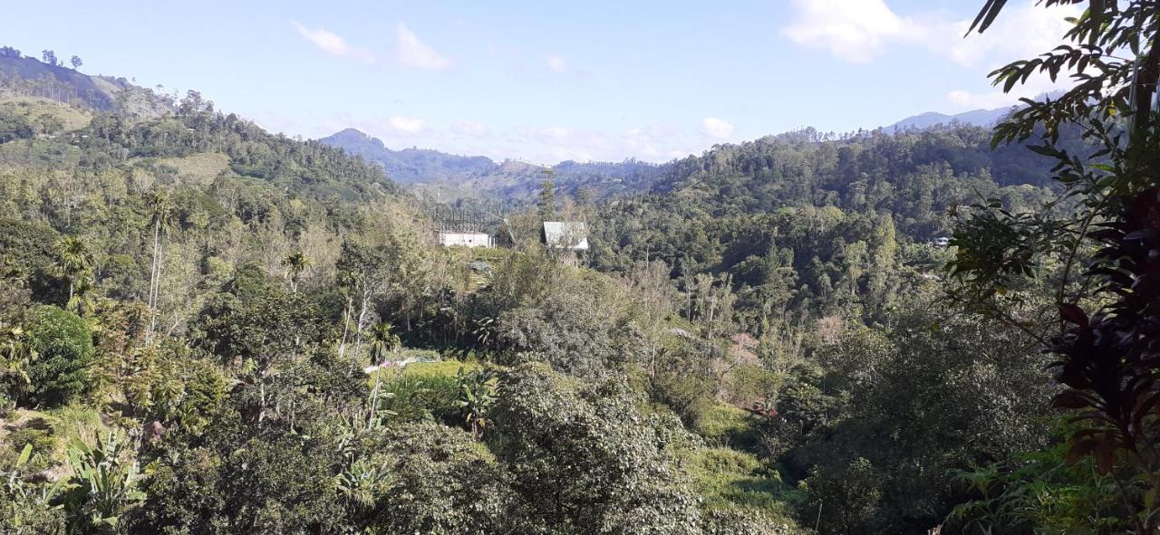 Panorama Guest house