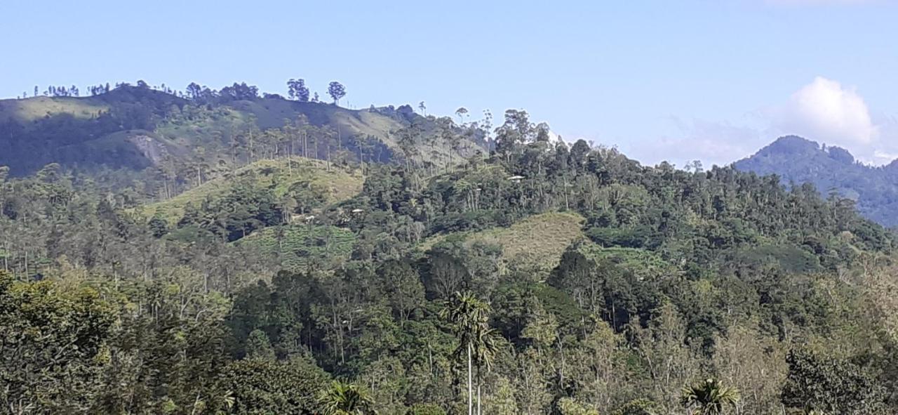 Panorama Ella