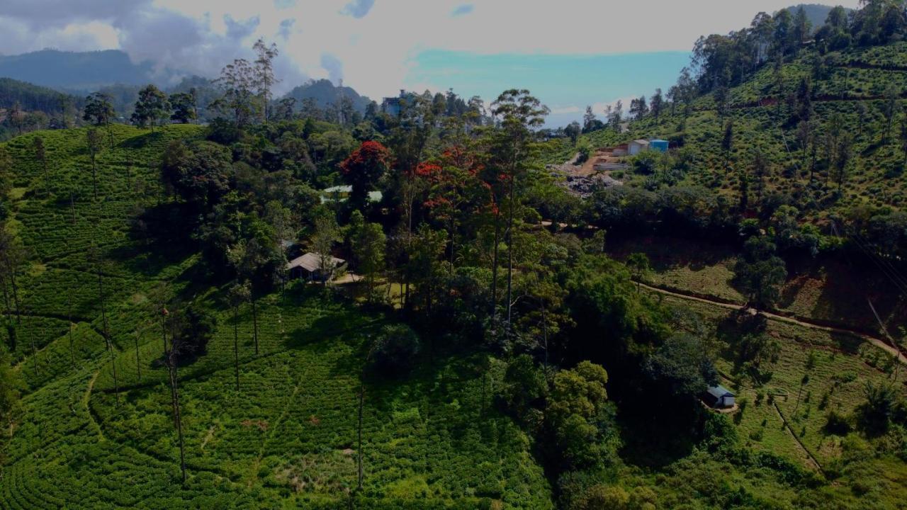 Sunnyside - Tea Plantation Bungalow Ella