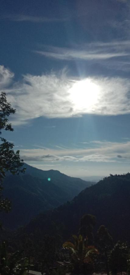 Saveen View * Ella