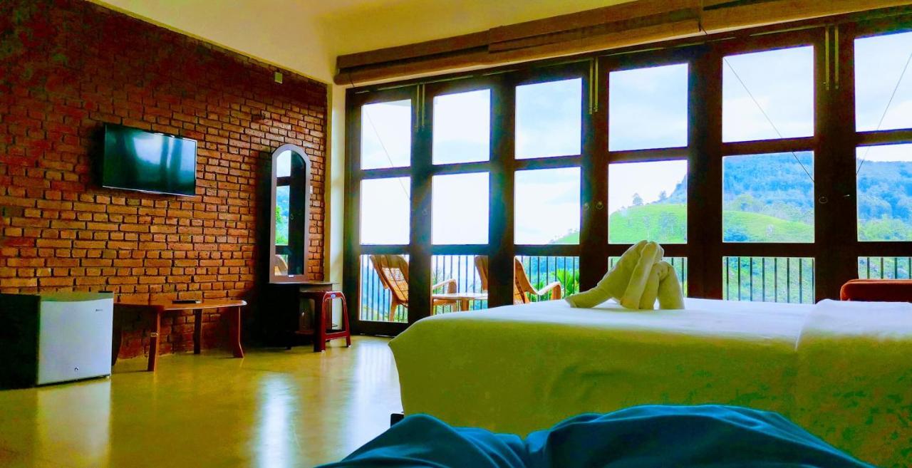 Guest house Nature View
