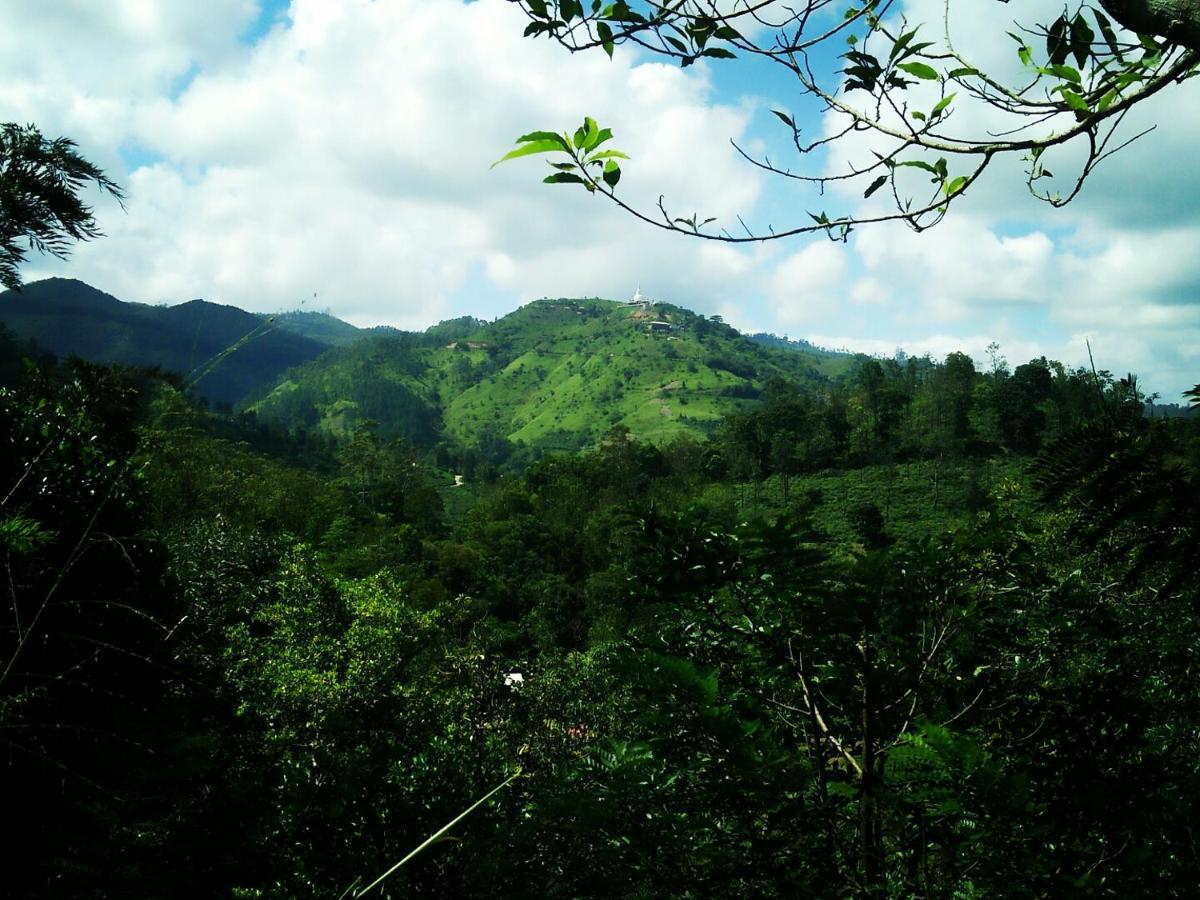 Homestay Green Jungle 